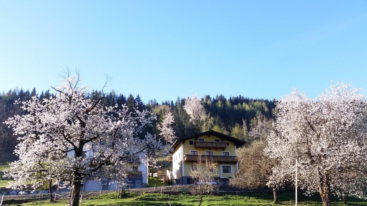 Ferienhaus Karin Fusch an der Glocknerstraße Екстериор снимка